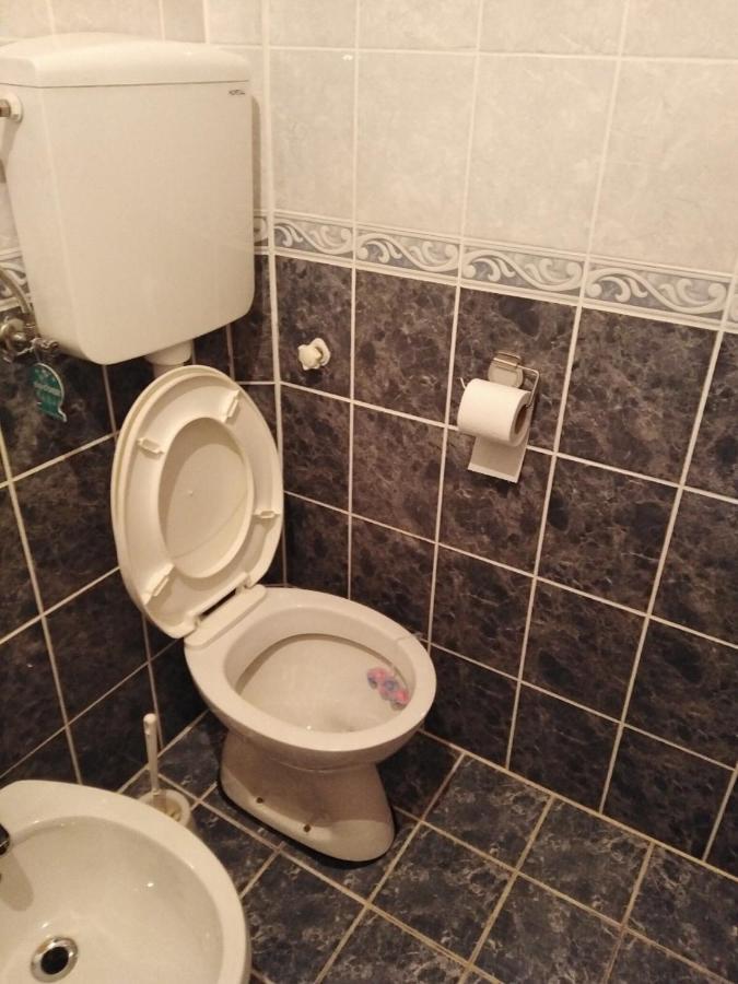 Apartmani Milojevic Divcibare Ngoại thất bức ảnh
